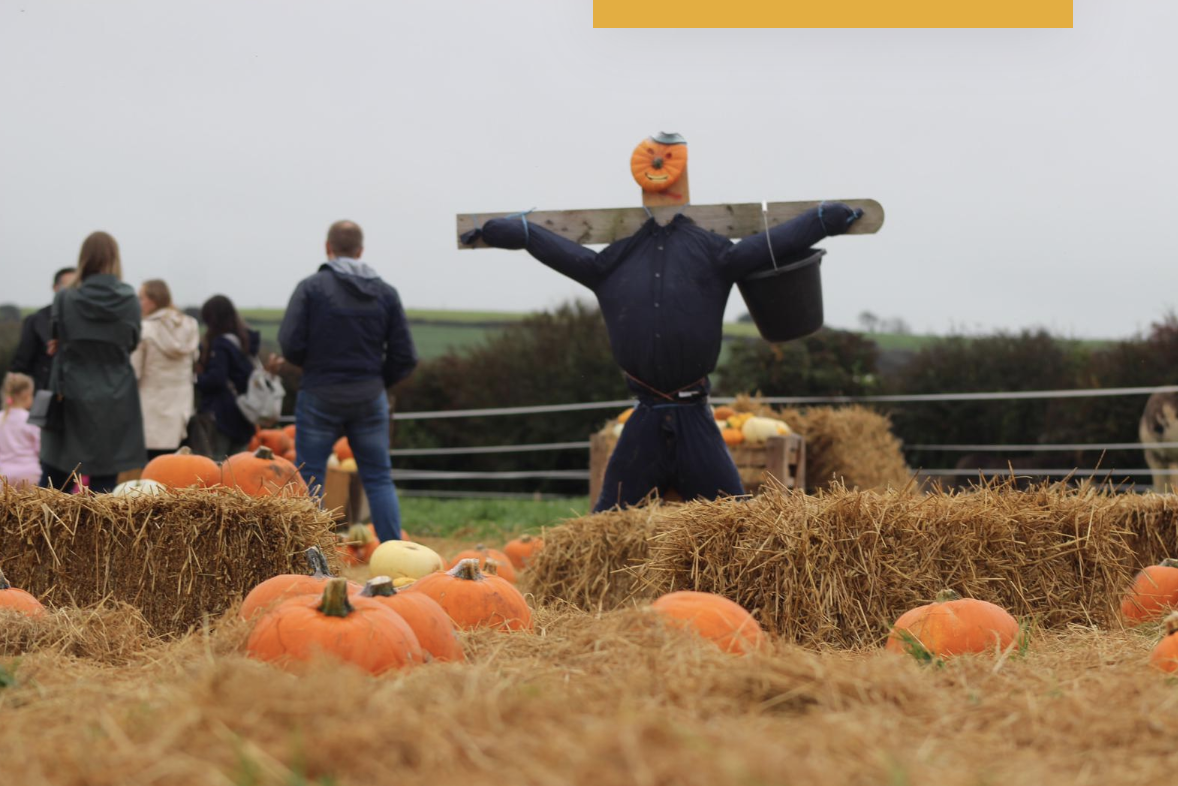 Ballinadee Bus Runs on a Digital Order Book